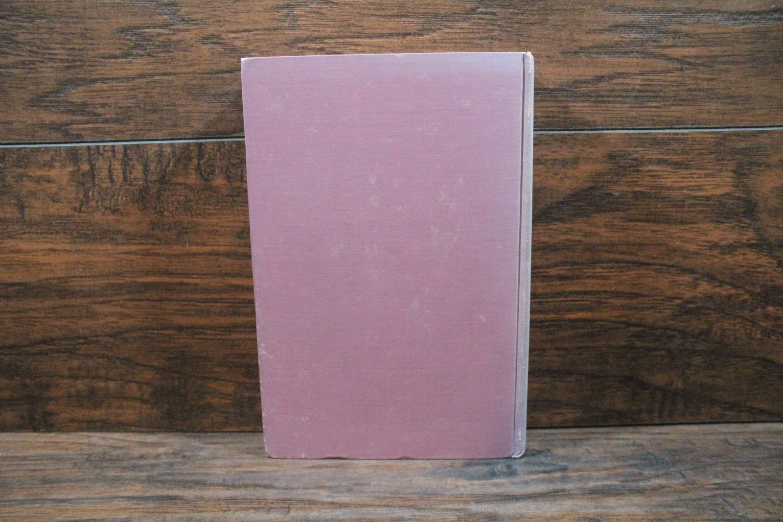 1920s The Twelve Dancing Princesses & other Fairy Tales by Arthur Quiller-Couch