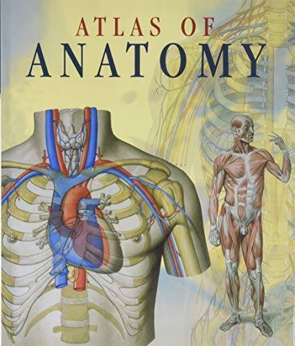Atlas of Human Anatomy – Paperback By et. al. Dr. Giovanni Iazzetti – GOOD