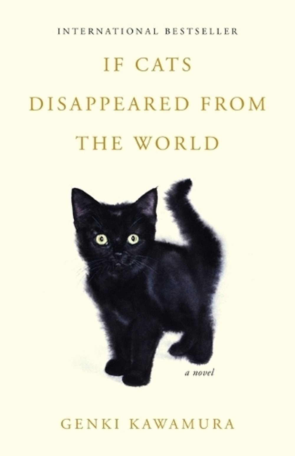 If Cats Disappeared from the World by Genki Kawamura Paperback Book