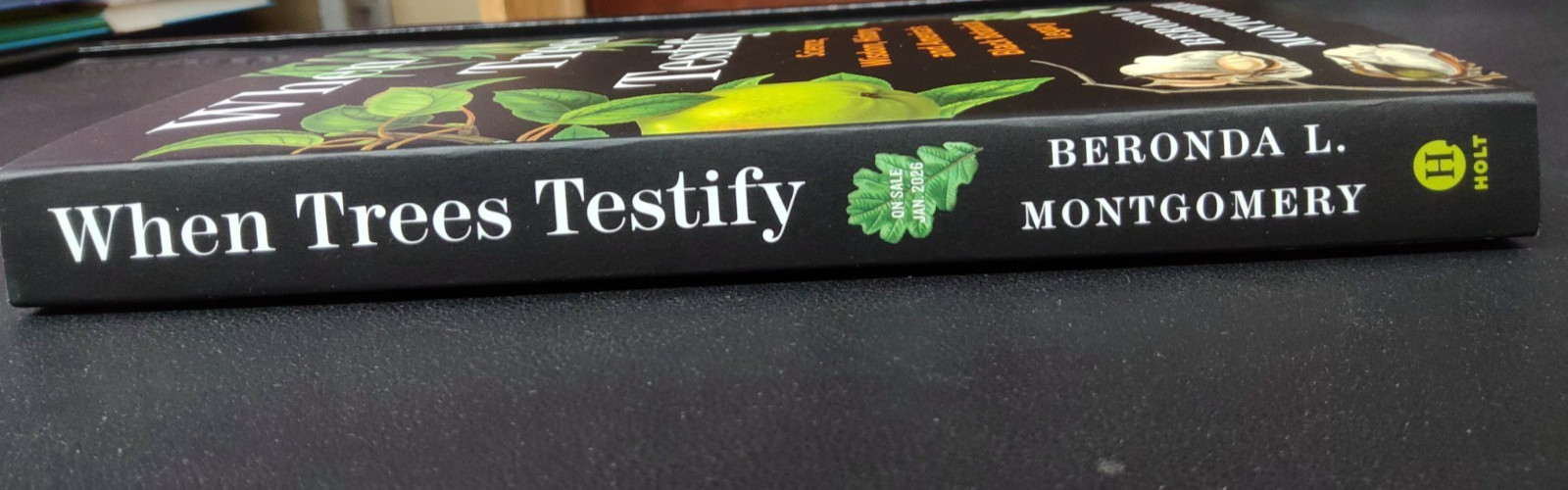 When Trees Testify by Beronda L. Montgomery ARC 1/26 Paperback