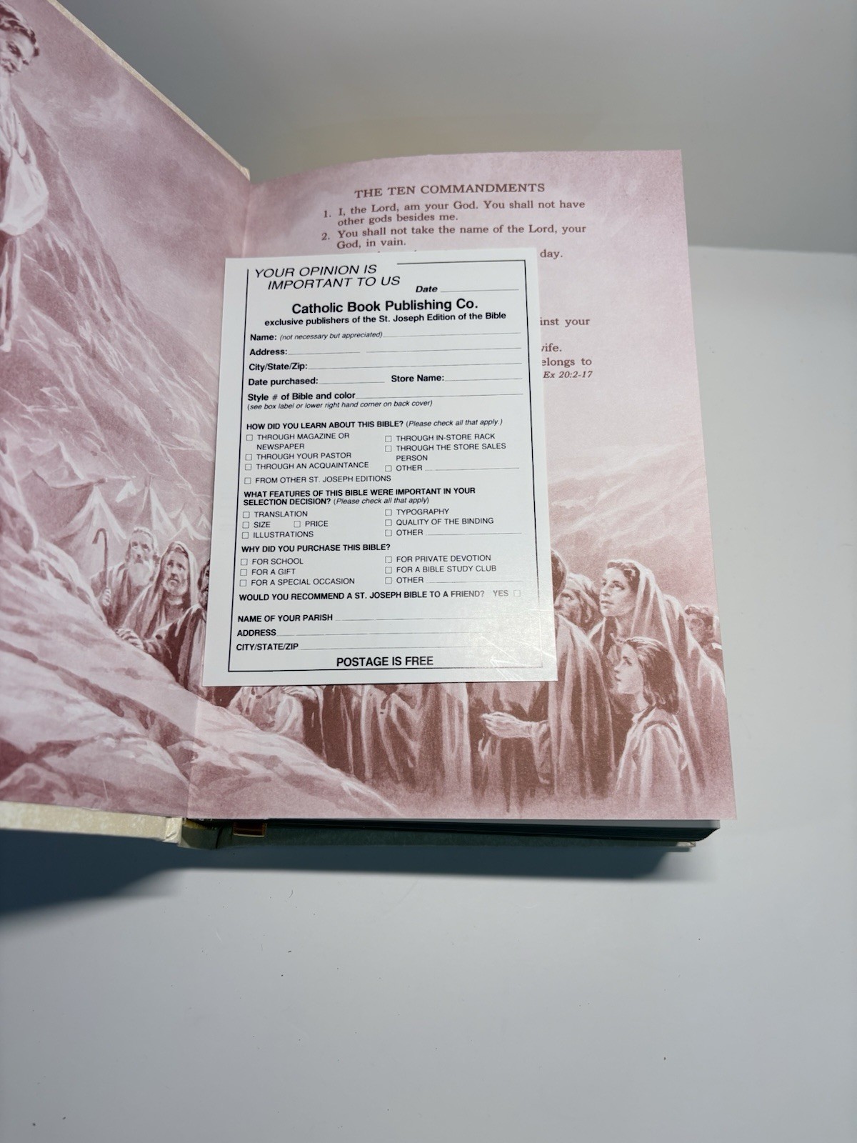 Saint Joseph Edition of The New American Bible – Illustrated Hardcover with Box