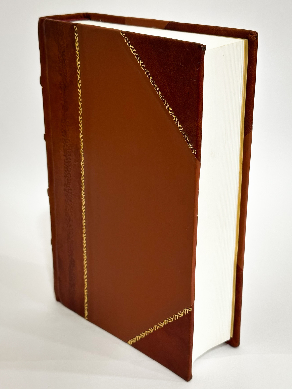 The Holy Bible : a Facsimile in a Reduced Size of the Authorize [Leather Bound]