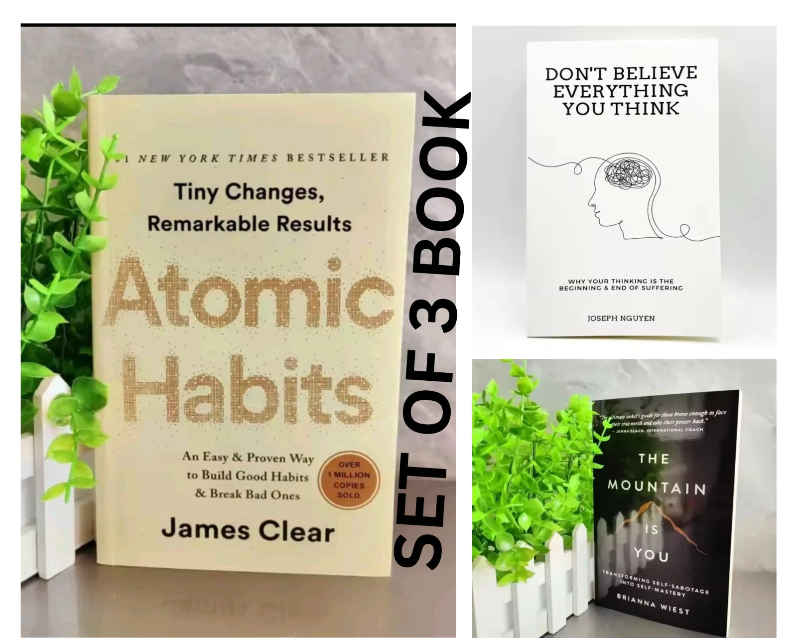 Atomic Habits,Mountain is You And Don’t believe everything 3 Book Set USA stock!