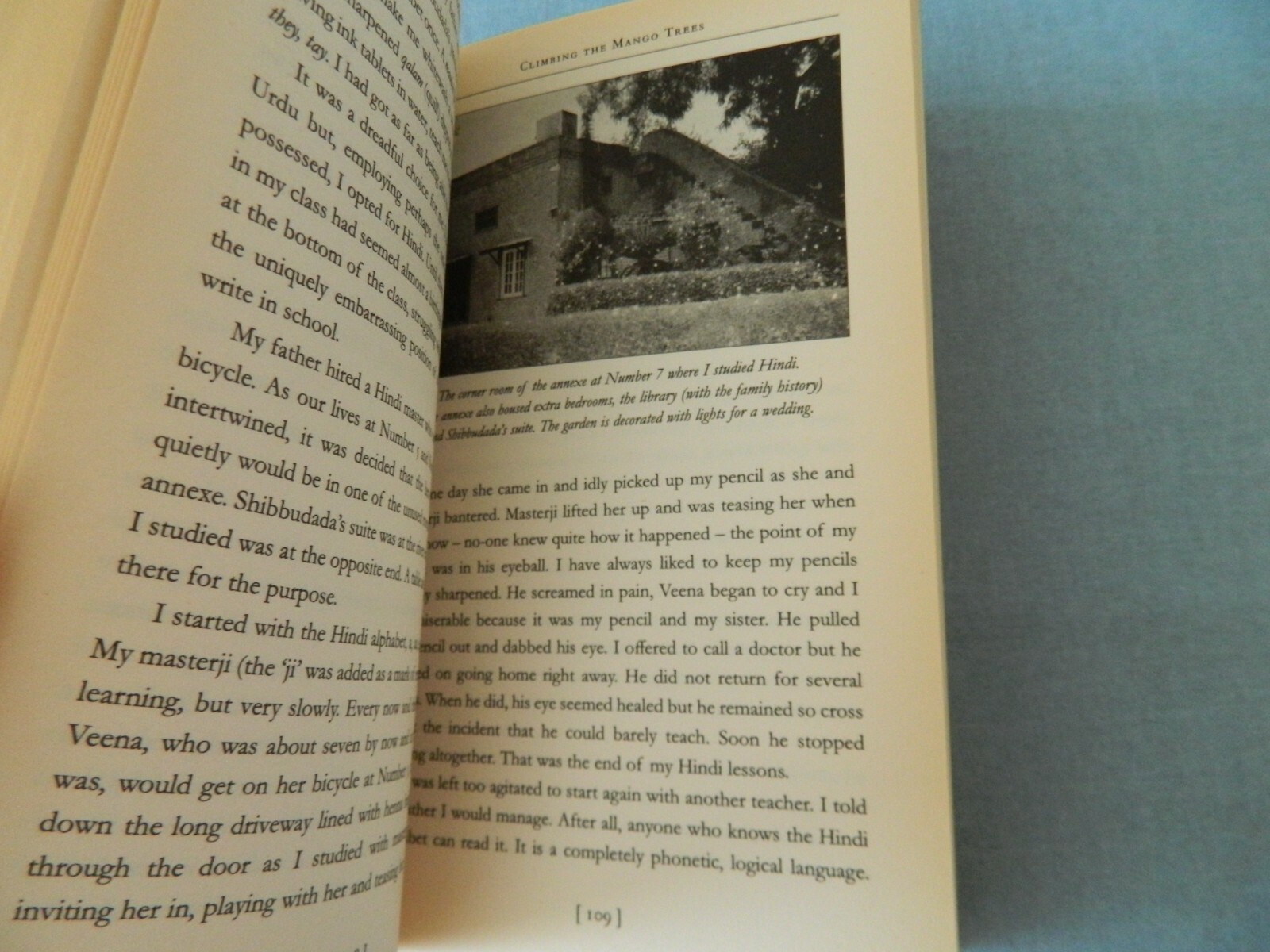 Vintage BOOK CLIMBING THE MANGO TREES MADHUR JAFFREY Paperback Ebury Press 2005