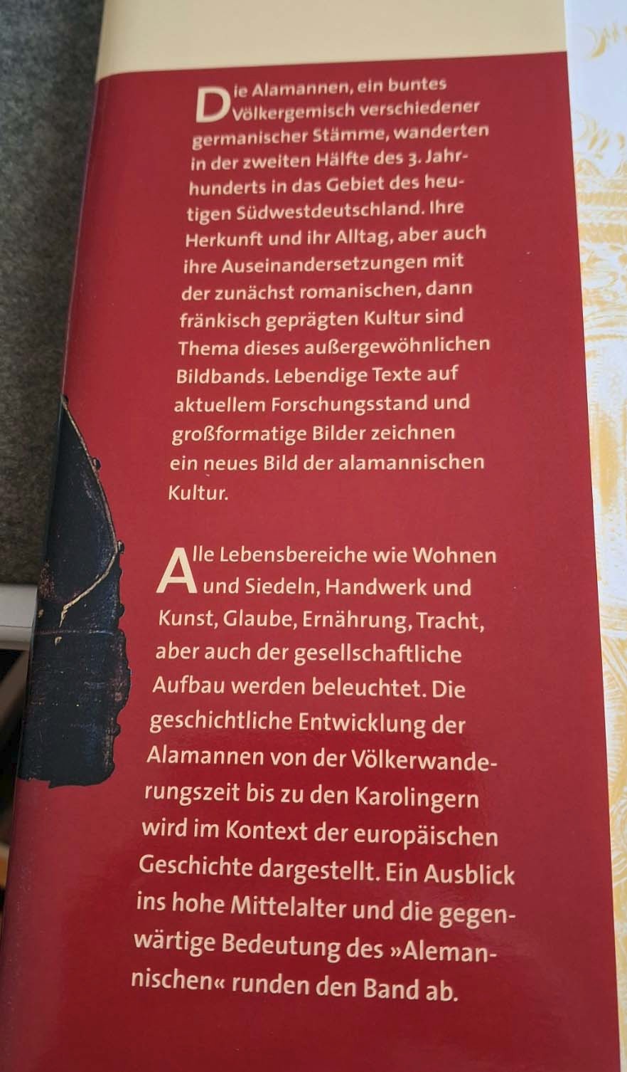 Die Alamannen: Krieger – Siedler – frühe Christen (Gebundene Ausgabe 2007)