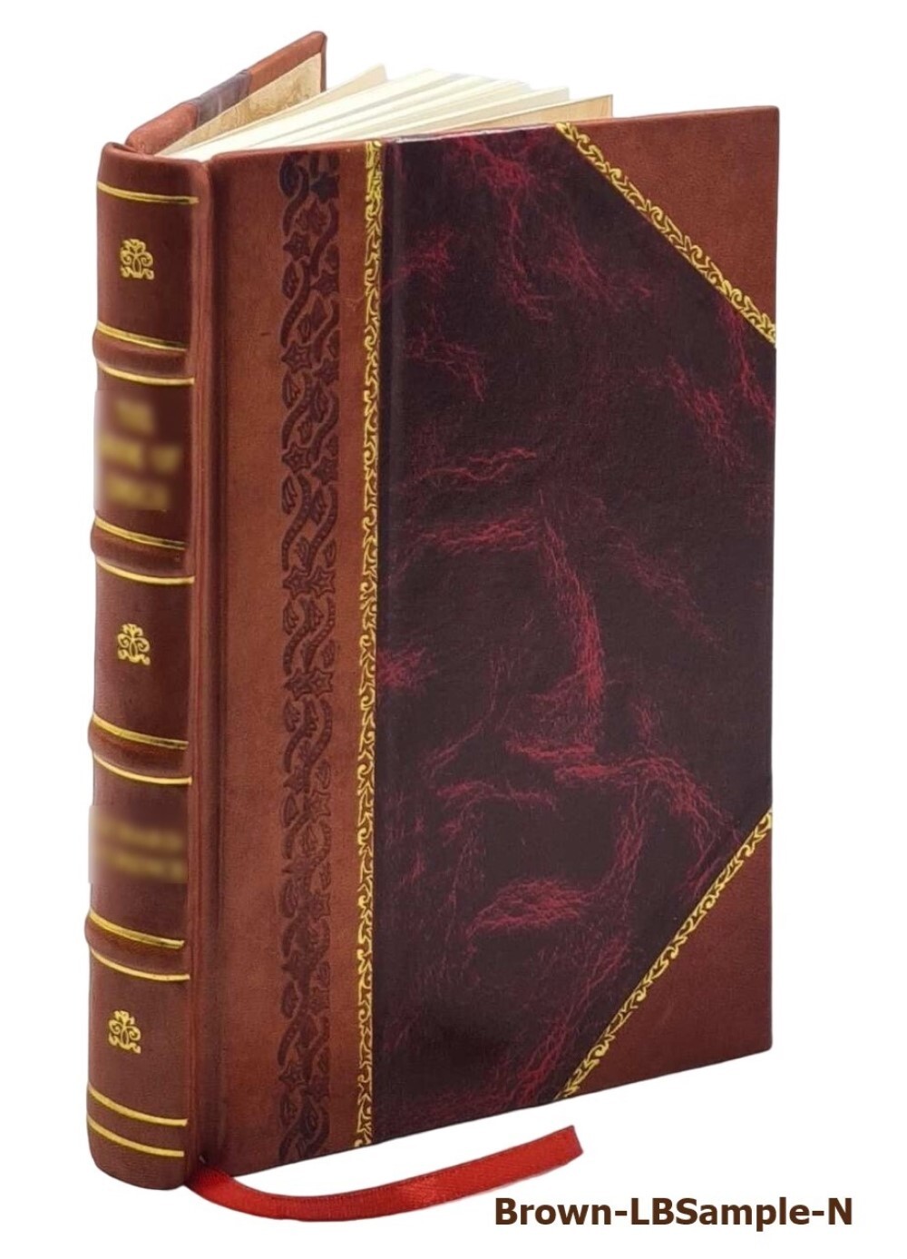 Die optischen Instrumente der Firma r. Fuess deren Beschreibung [Leather Bound]