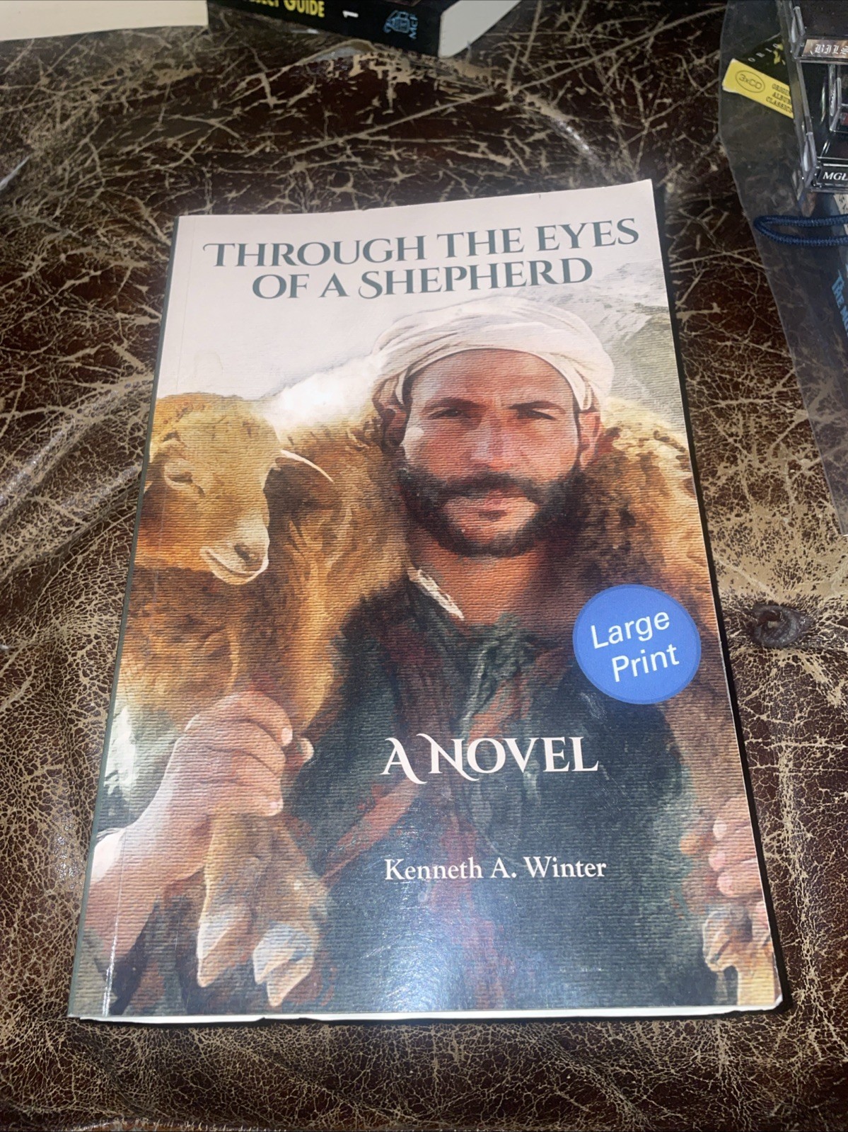 THROUGH THE EYES OF A SHEPHERD (LARGE PRINT EDITION) By Kenneth Winter PB