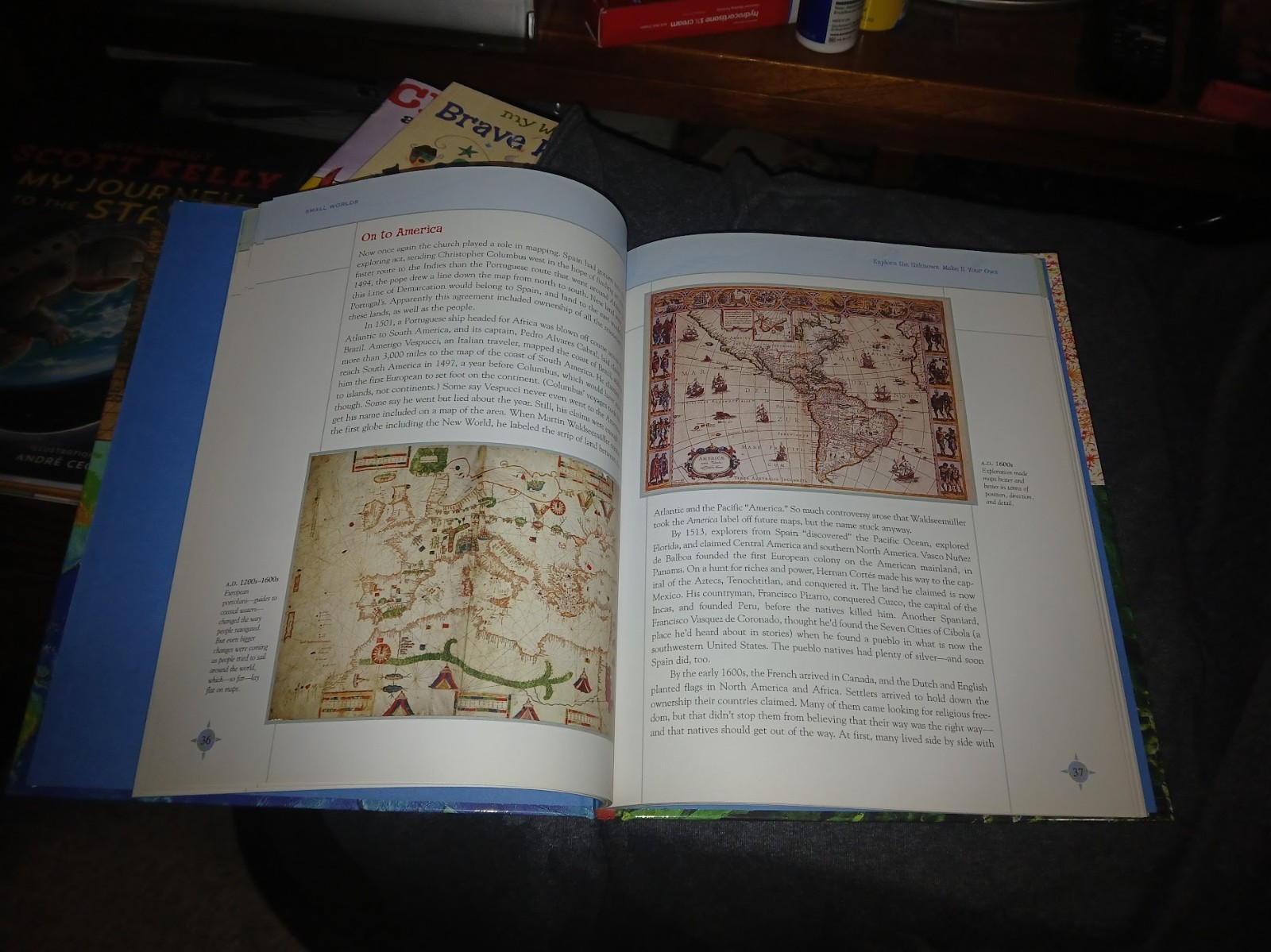 Small Worlds: Maps And Mapmaking – Hardcover By Romano Young, Karen – GOOD