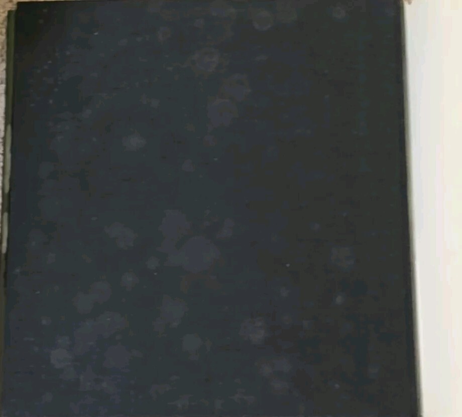 Gustaf Gründgens Grundgens Seven Years Dusseldorf Book Hans Peters 1954 Vintage