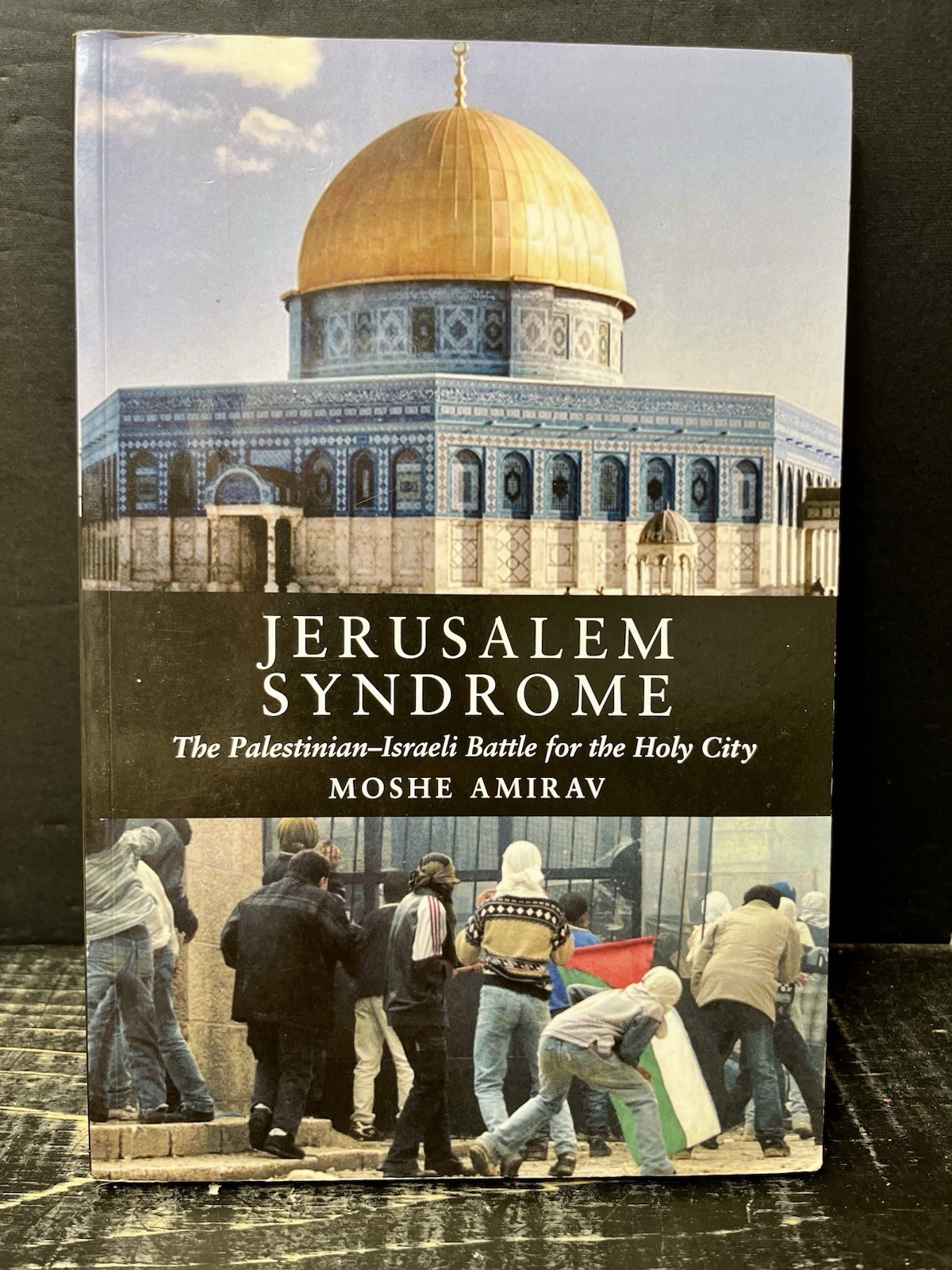 Jerusalem Syndrome:Palestinian-Israeli Battle for Holy City Amirav Near Fine Y1
