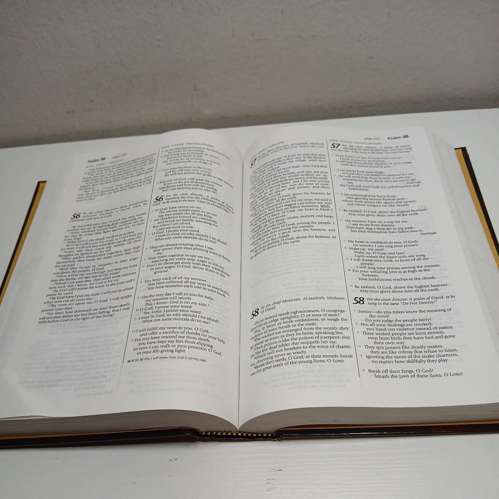 Holy Bible: People’s Parallel Edition King James Version/New Living Translation
