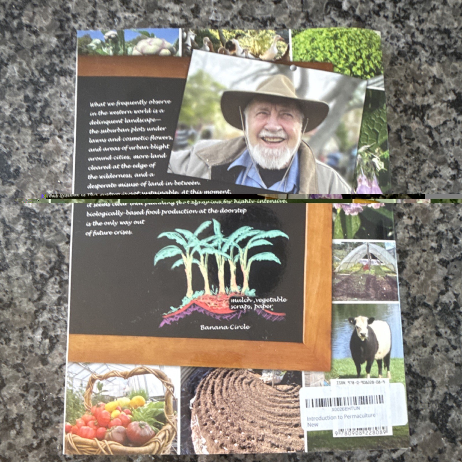 Introduction to Permaculture by Bill Mollison & Reny Mia Slay Paperback English
