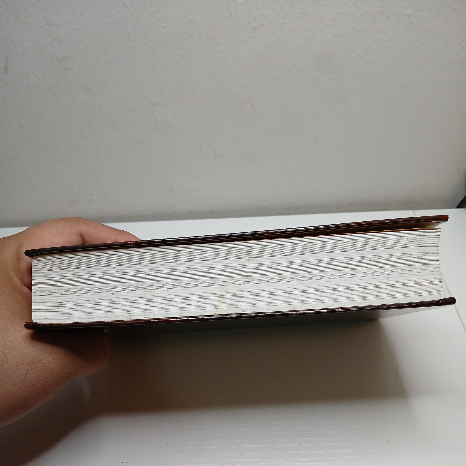 Holy Bible: People’s Parallel Edition King James Version/New Living Translation