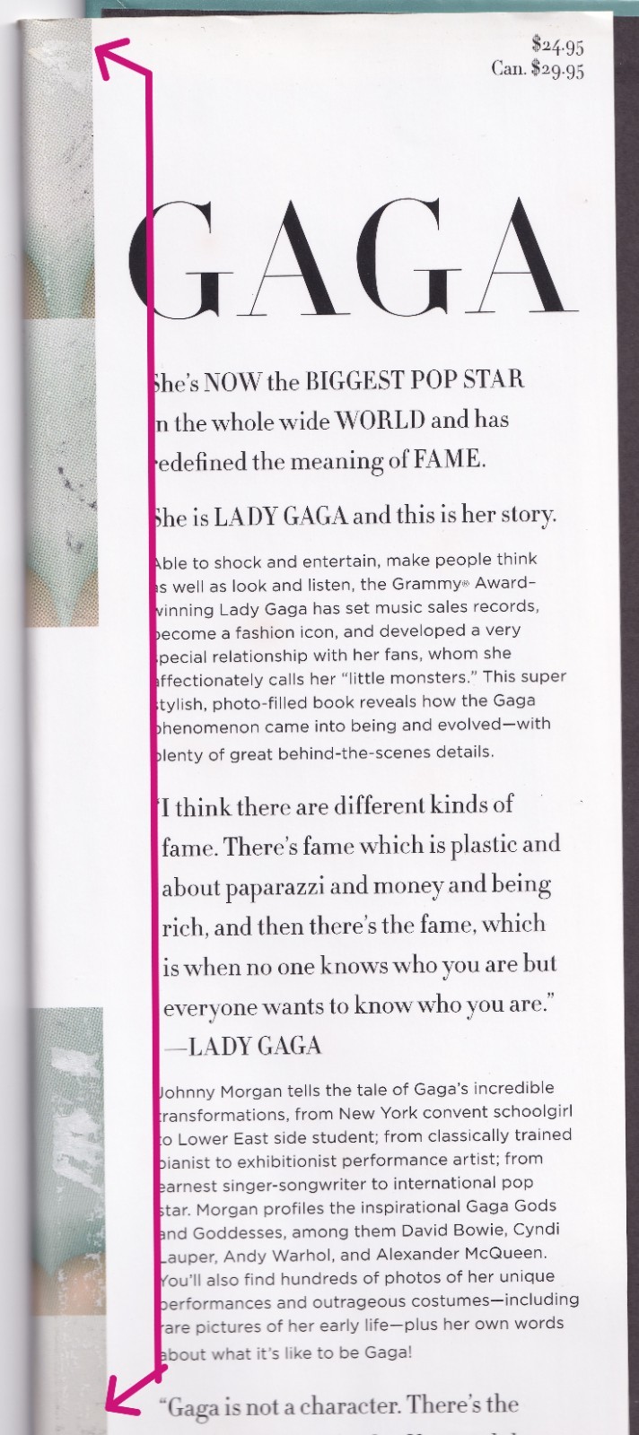 Johnny Morgan Gaga 2010 Book Hardcover 160 Pages *PLEASE READ*