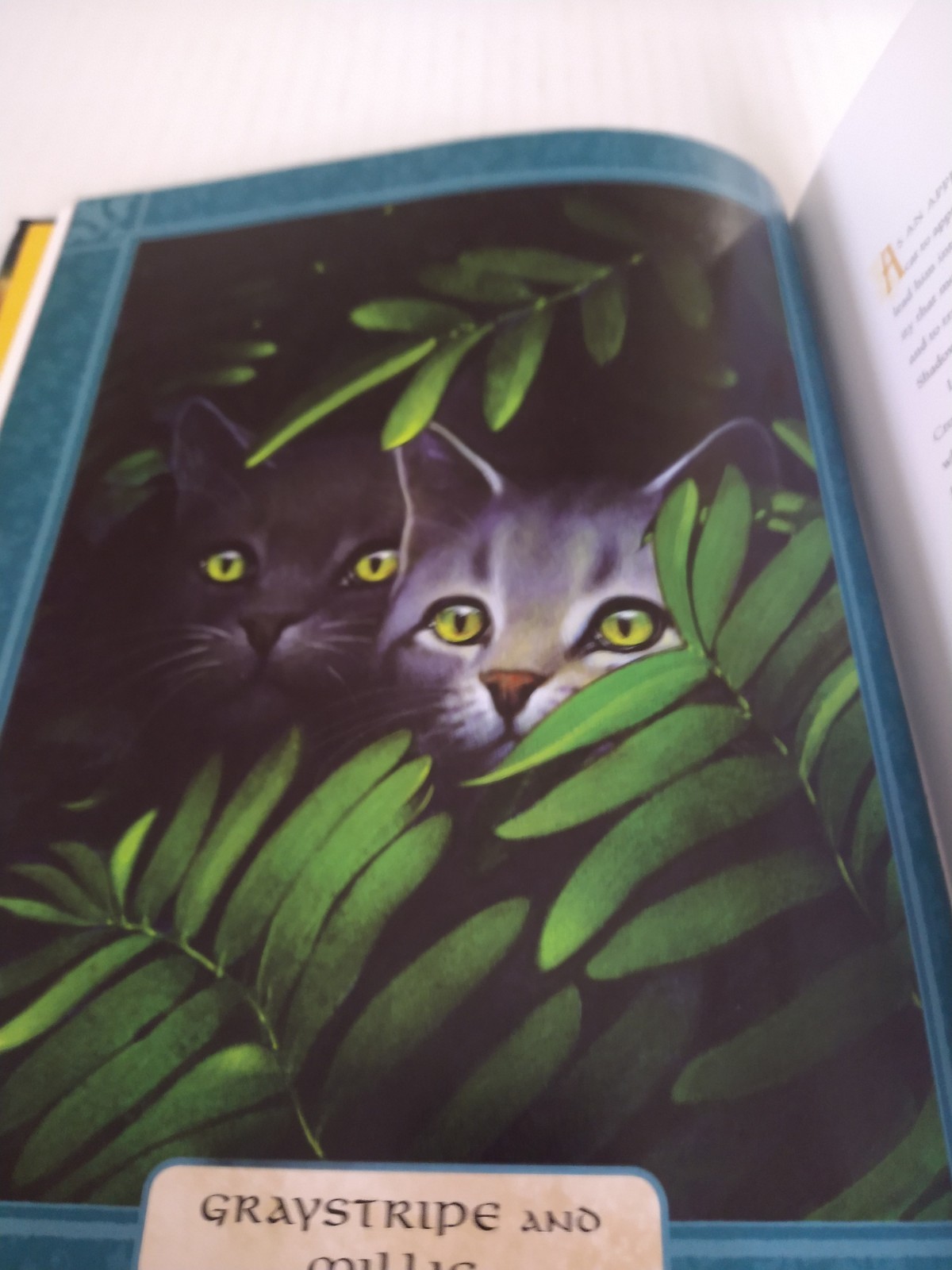 Warriors The Ultimate Guide By Erin Hunter Hardback 221 Pages Full Color Art