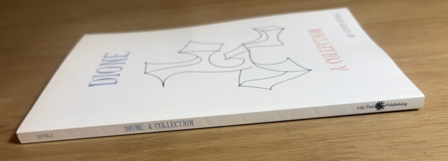 Dione A Collection Steven Accola 2007 1st Print Surrealist Art Book Scarce