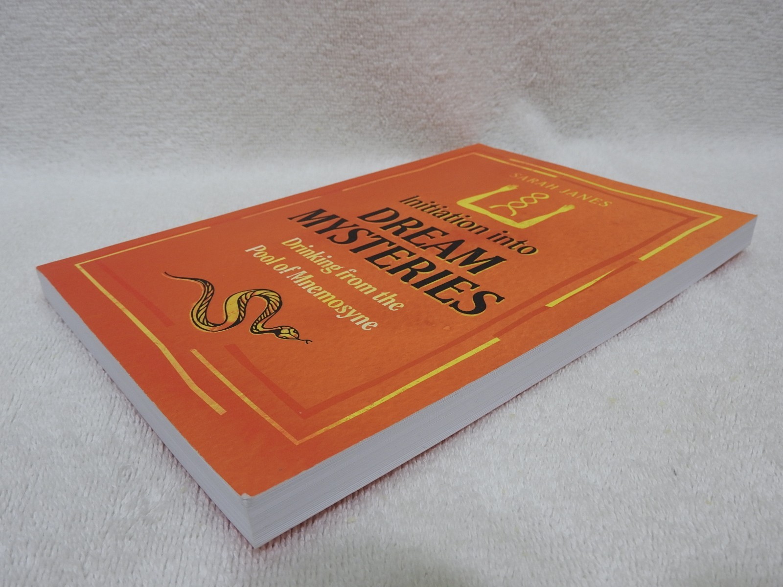 Initiation into Dream Mysteries by Sarah Janes 180 Pages Paperback 2022 👀*…..