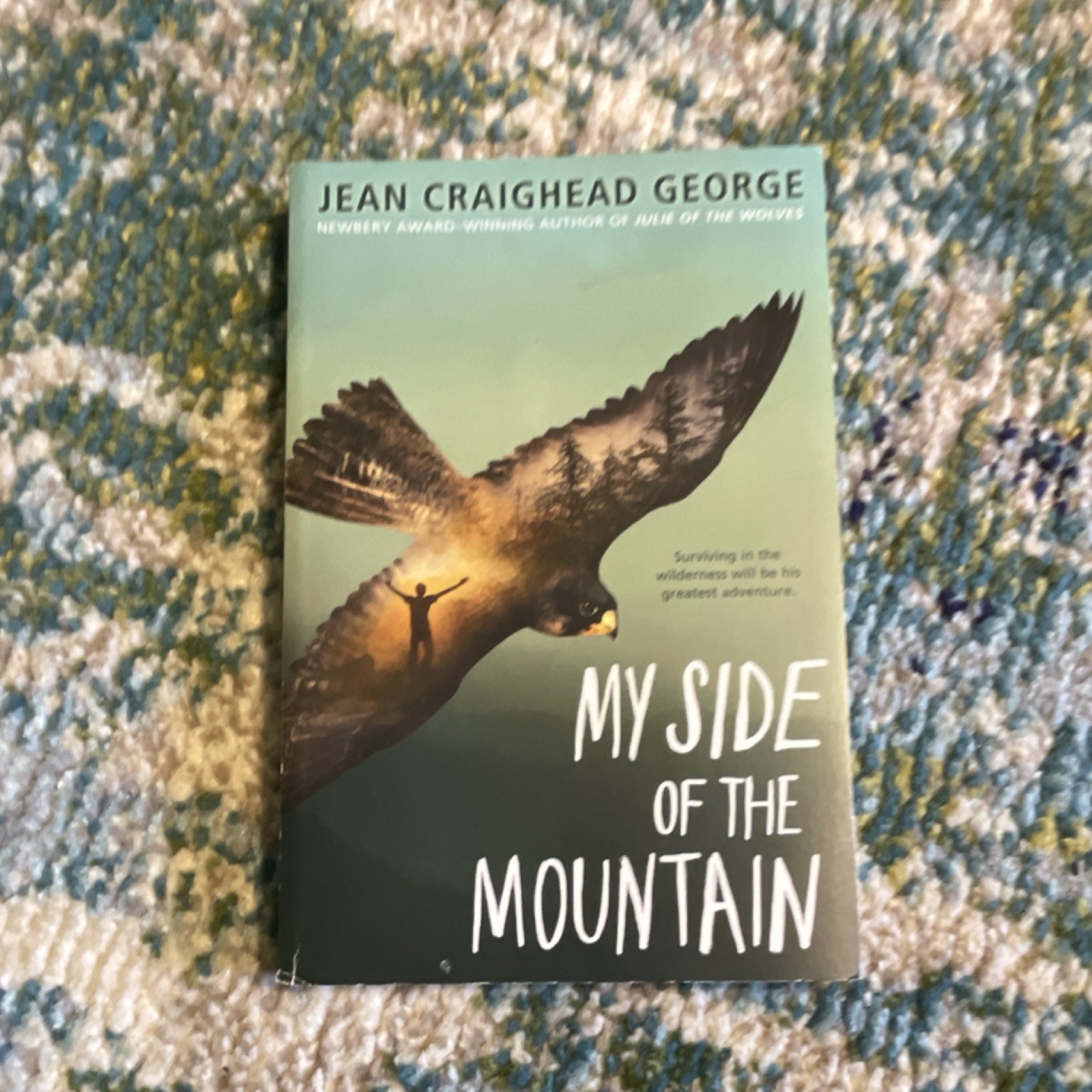 My Side of the Mountain Jean Craighead George 2001 Trade Paperback Reprint Illus