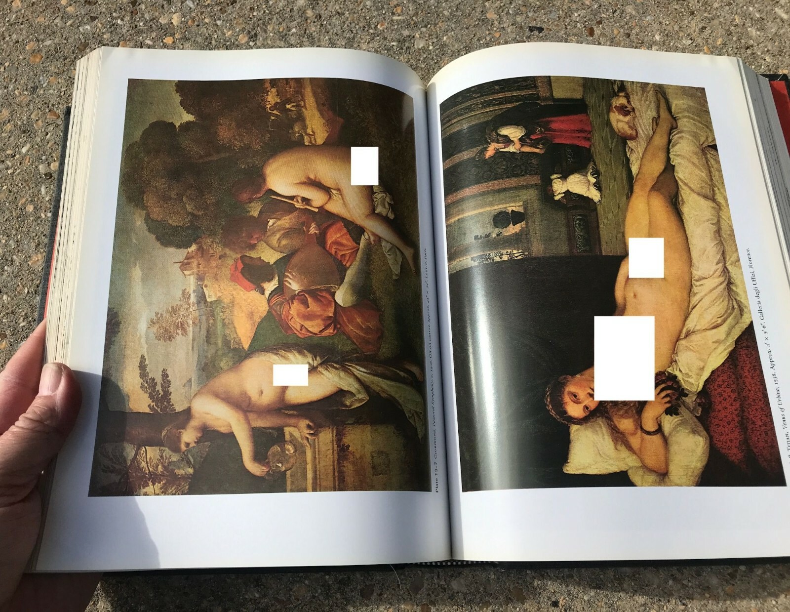 ART THROUGH THE AGES Fifth Edition, Hardcover, HUGE – 5 pounds! 802 pgs., ©1970