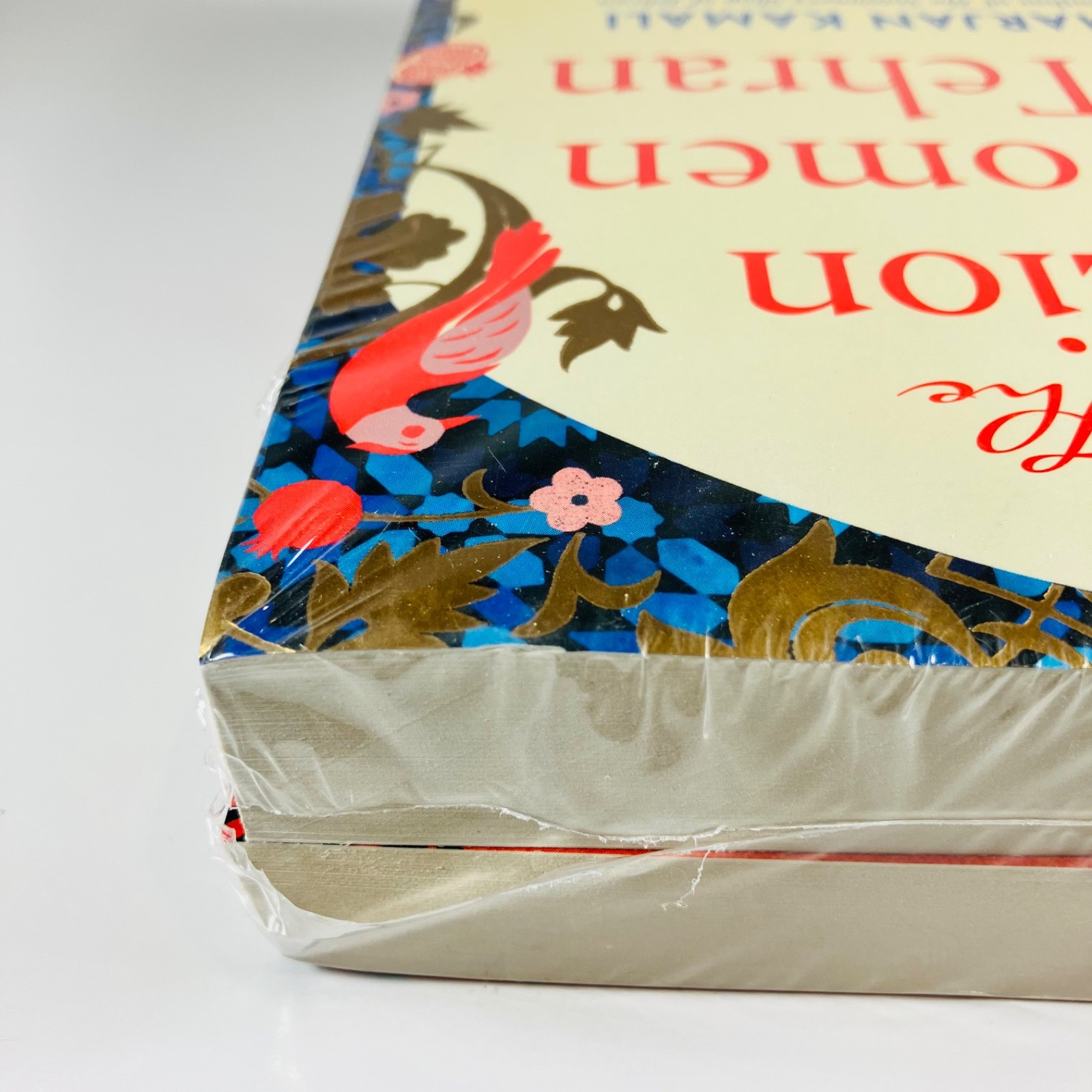 Marjan Kamali 2 Books Collection SET The Lion Women of Tehran & The Stationery