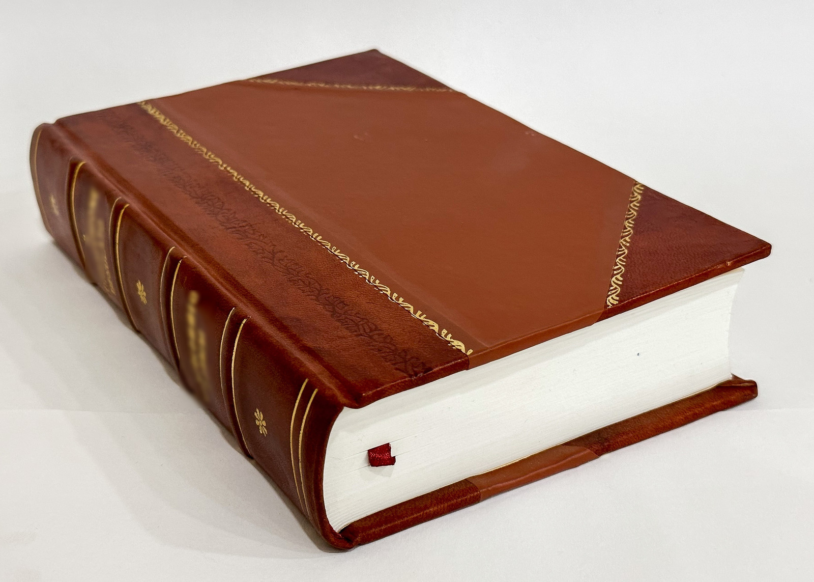 The Holy Bible : a Facsimile in a Reduced Size of the Authorize [Leather Bound]