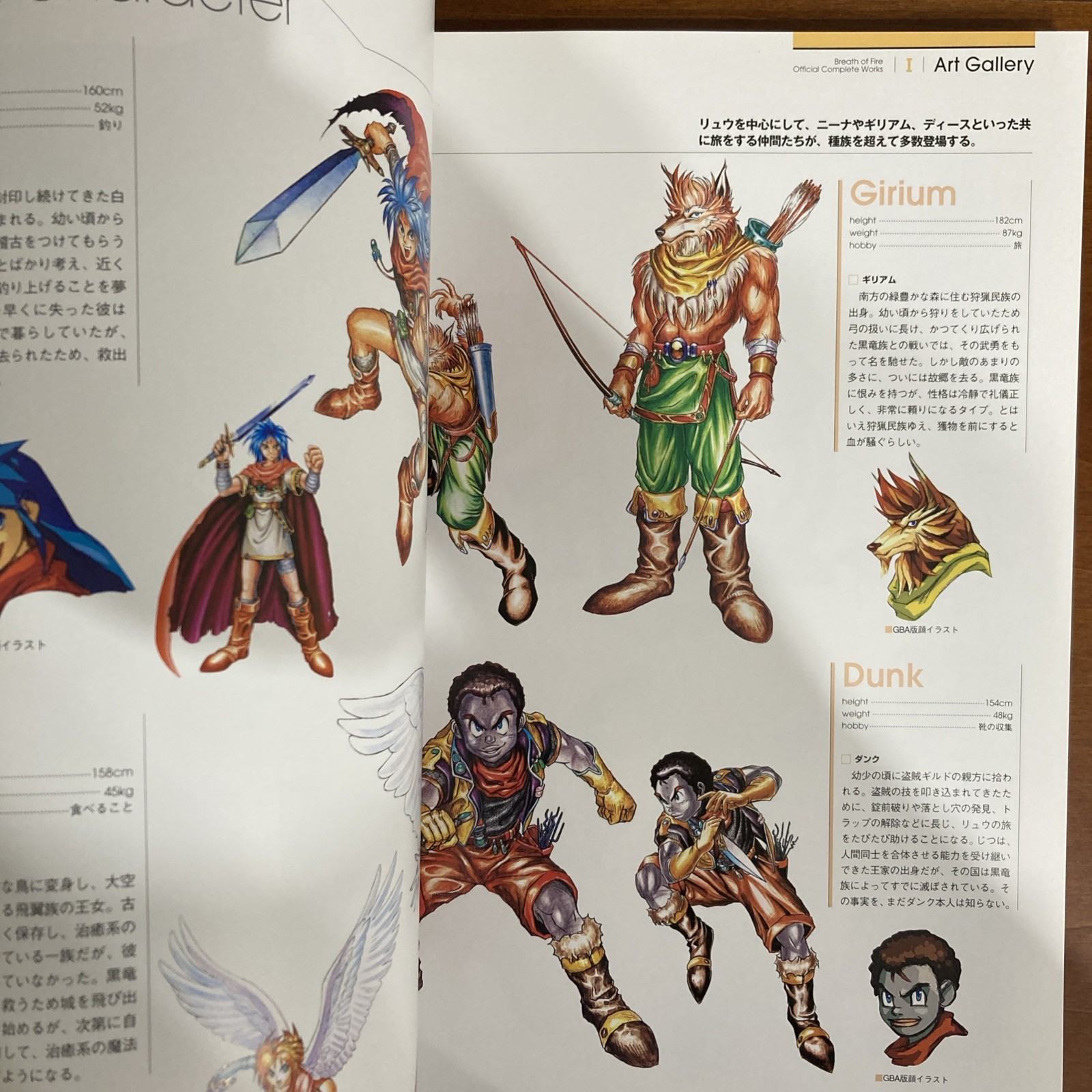 Breath Of Fire Official Complete Works Art Book Capcom Illustration