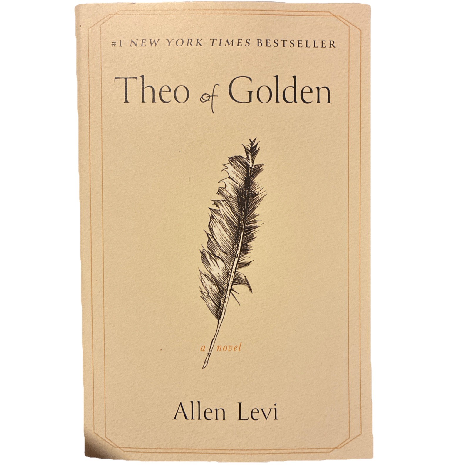 Theo of Golden : A Novel by Allen Levi (2025, Trade Paperback)