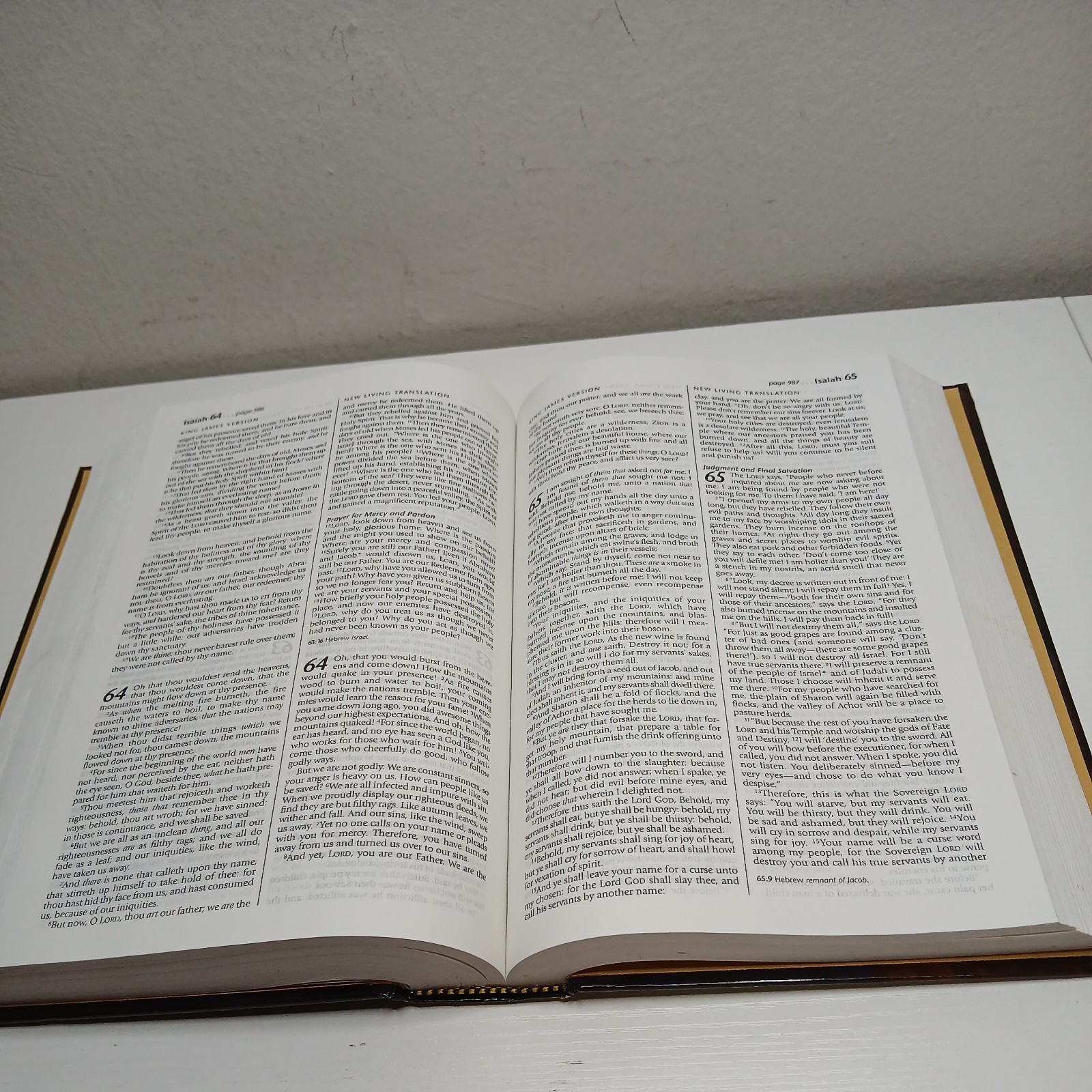 Holy Bible: People’s Parallel Edition King James Version/New Living Translation