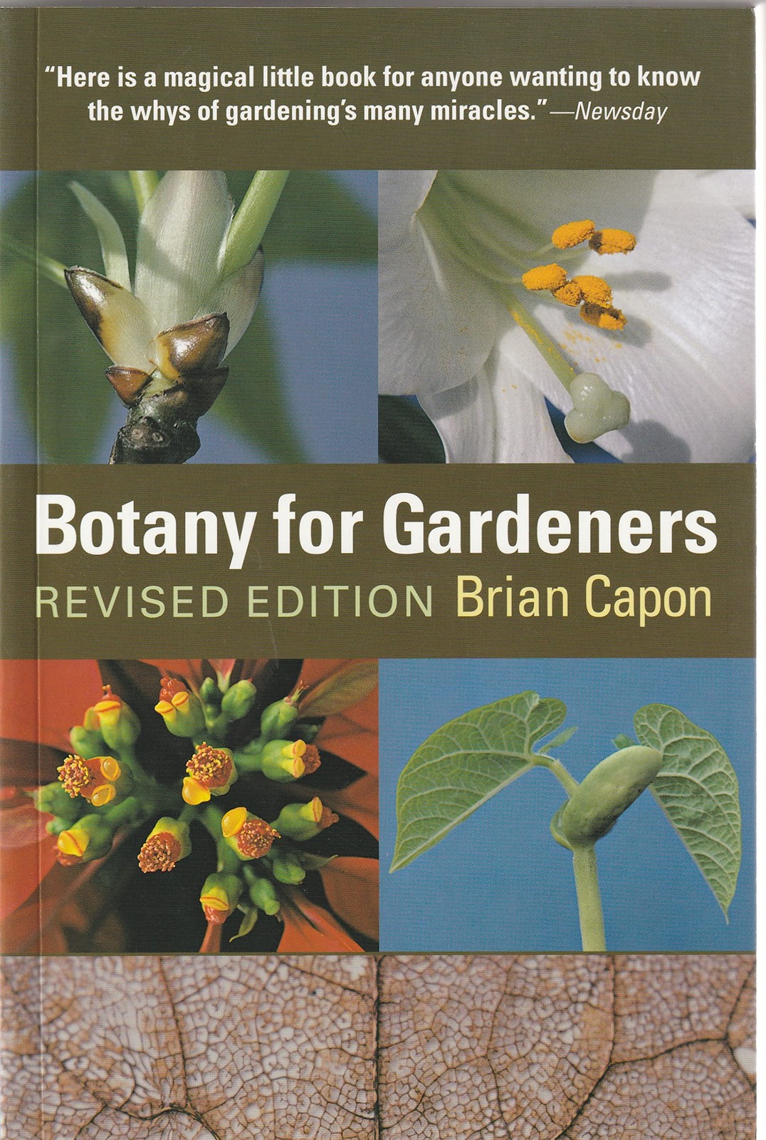 Botany for Gardeners – Capon, Brian – Very Good – See condition notes