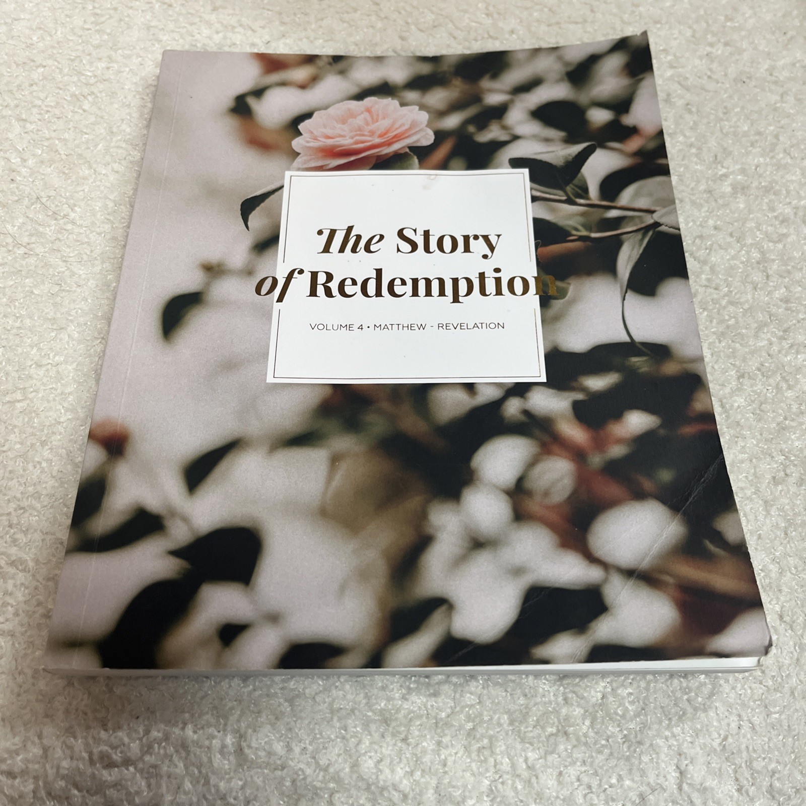 Lot 10 The Daily Grace Co Bible Study Guides New Testament Story Of Redemption
