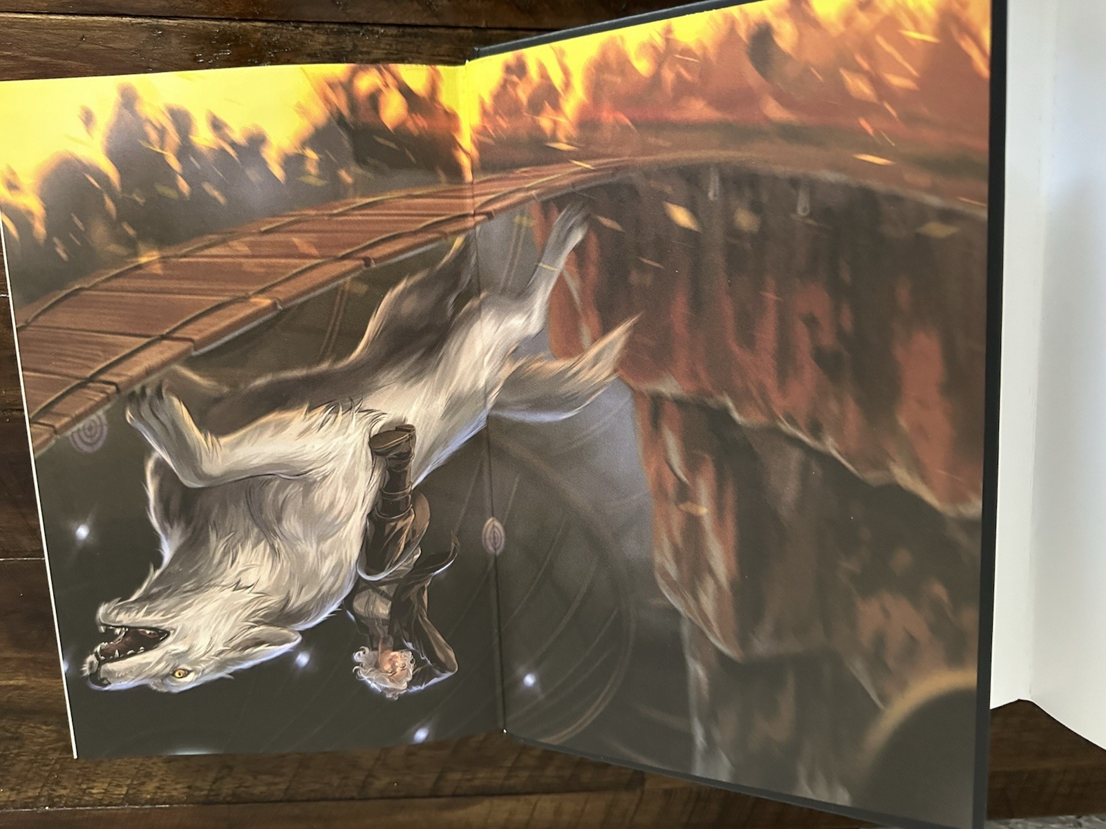 Dire Bound (Deluxe Limited Edition) by Sable Sorensen (English) Hardcover Book