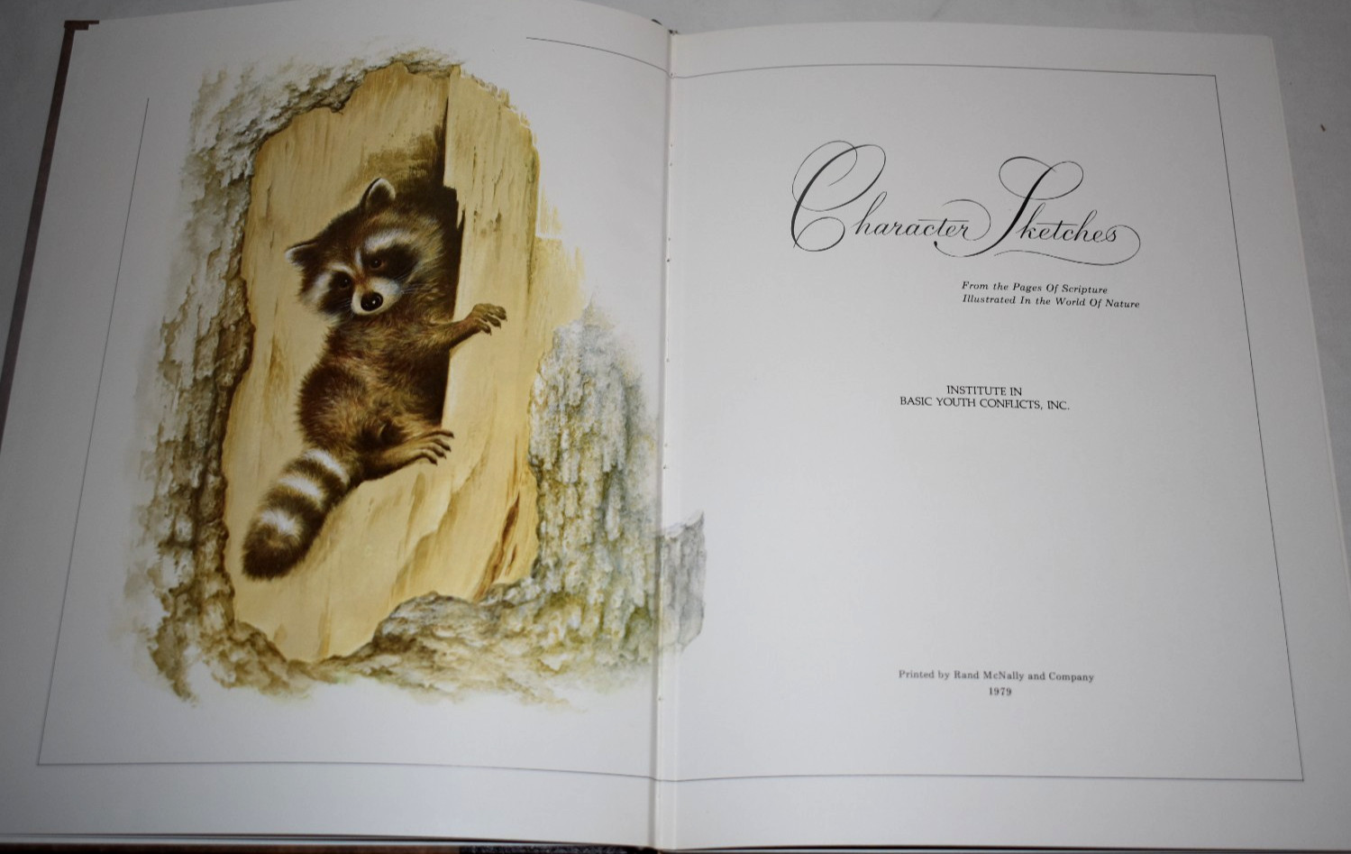 Character Sketches From The Pages of Scripture Vol 1 & 2 w/ Slipcases