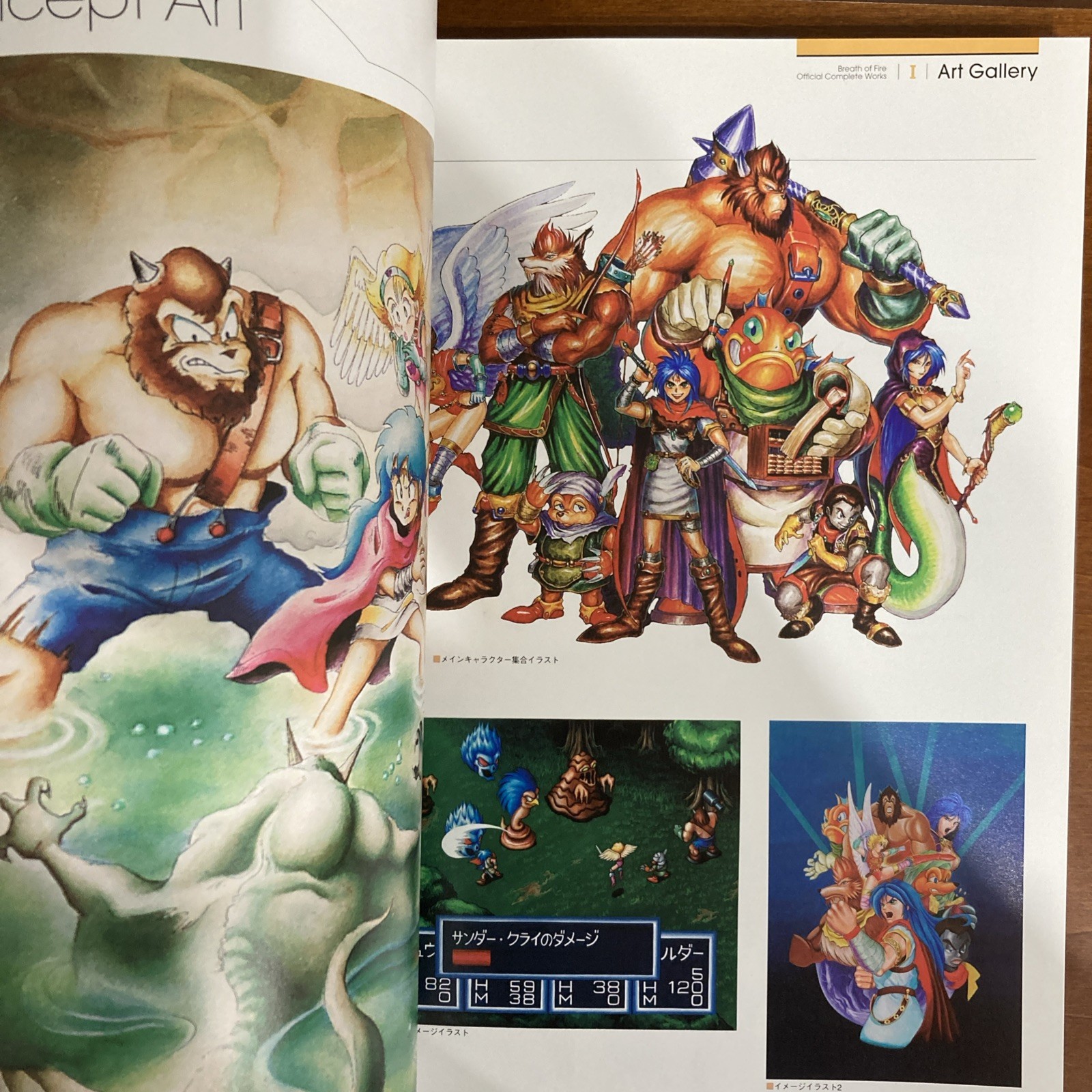 Breath Of Fire Official Complete Works Art Book Capcom Illustration