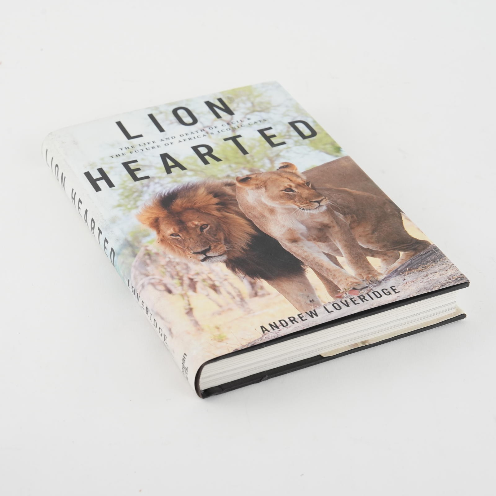 Lion Hearted: The Life and Death of Cecil & the Future of Africa’s Iconic Cats