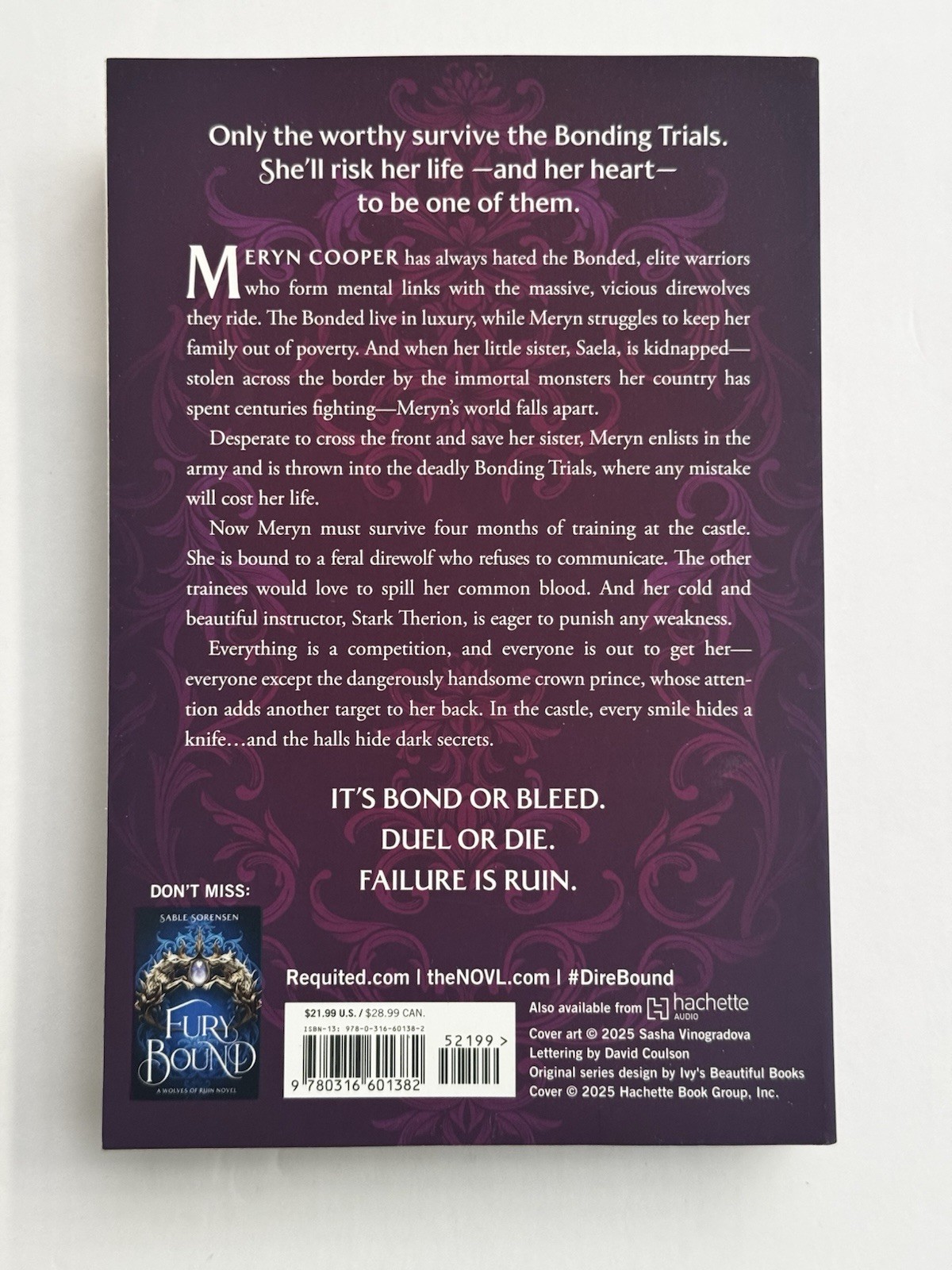 Dire Bound by Sable Sorensen (2025, Trade Paperback)