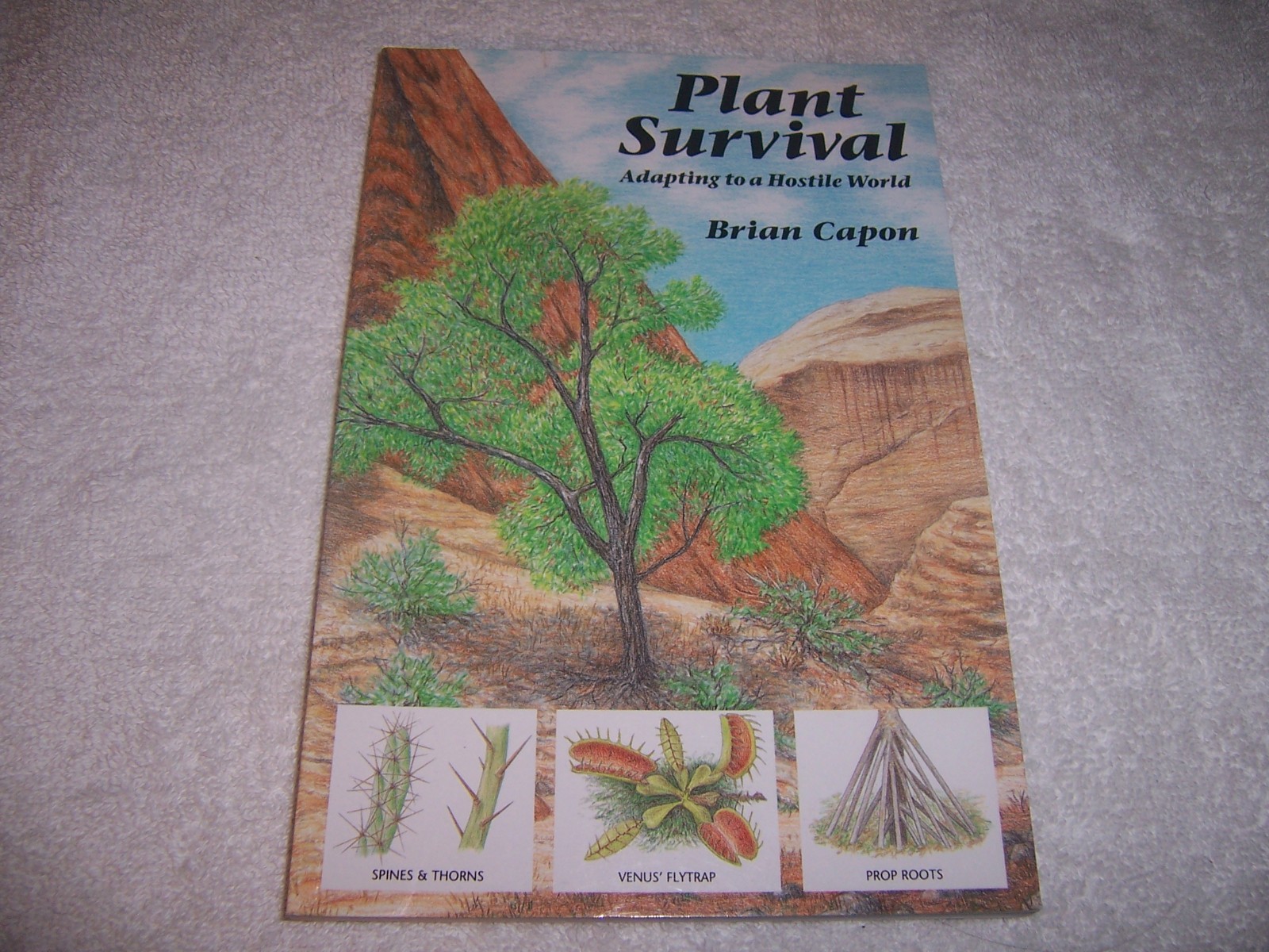 Plant Survival : Adapting to a Hostile World by Brian Capon pb
