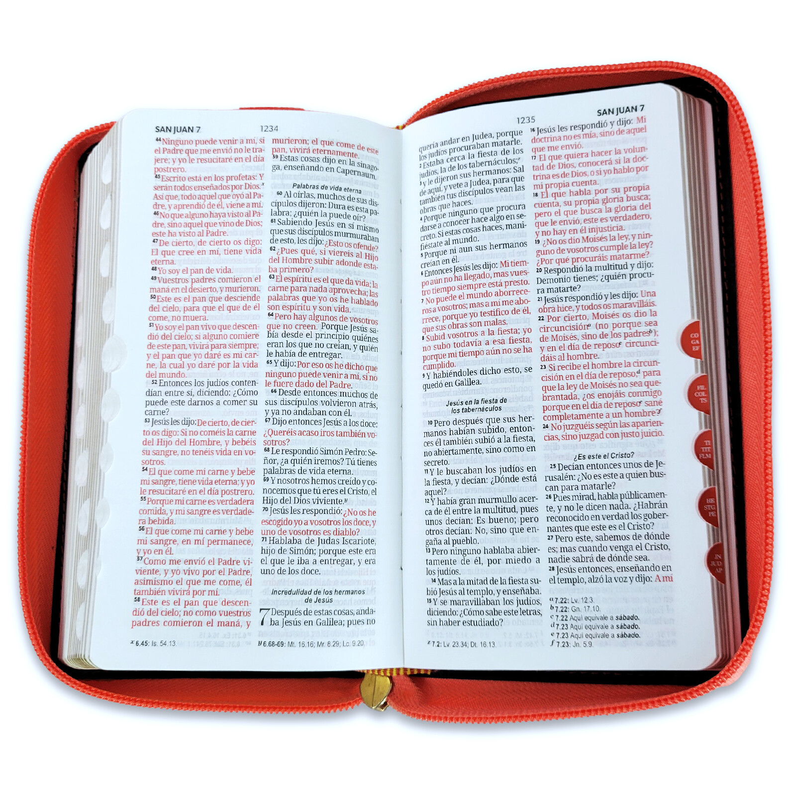 Biblia Chequera Letra 8.5 puntos RV1960 imit piel coral y beige con indice