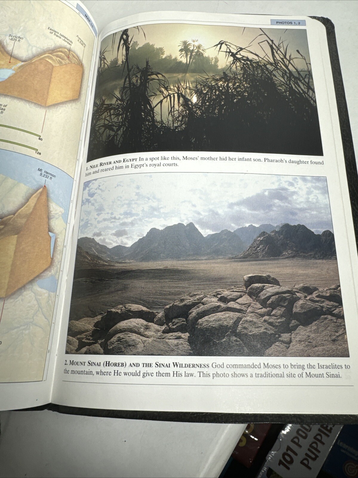 Holy Bible King James Version cross section reference as shown