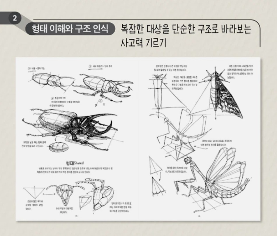 Peter Han Dynamic Bible Drawing Book Korean Edition Art Sketch Structure Guide
