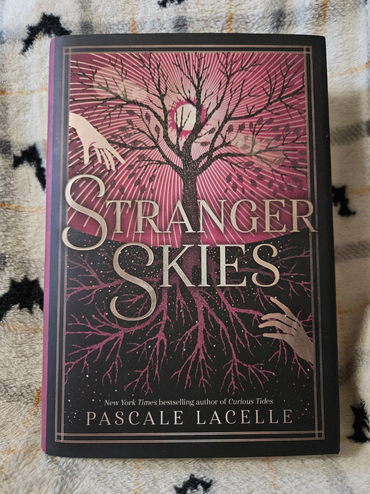 Stranger Skies by Pascale Lacelle (2024, Hardcover)