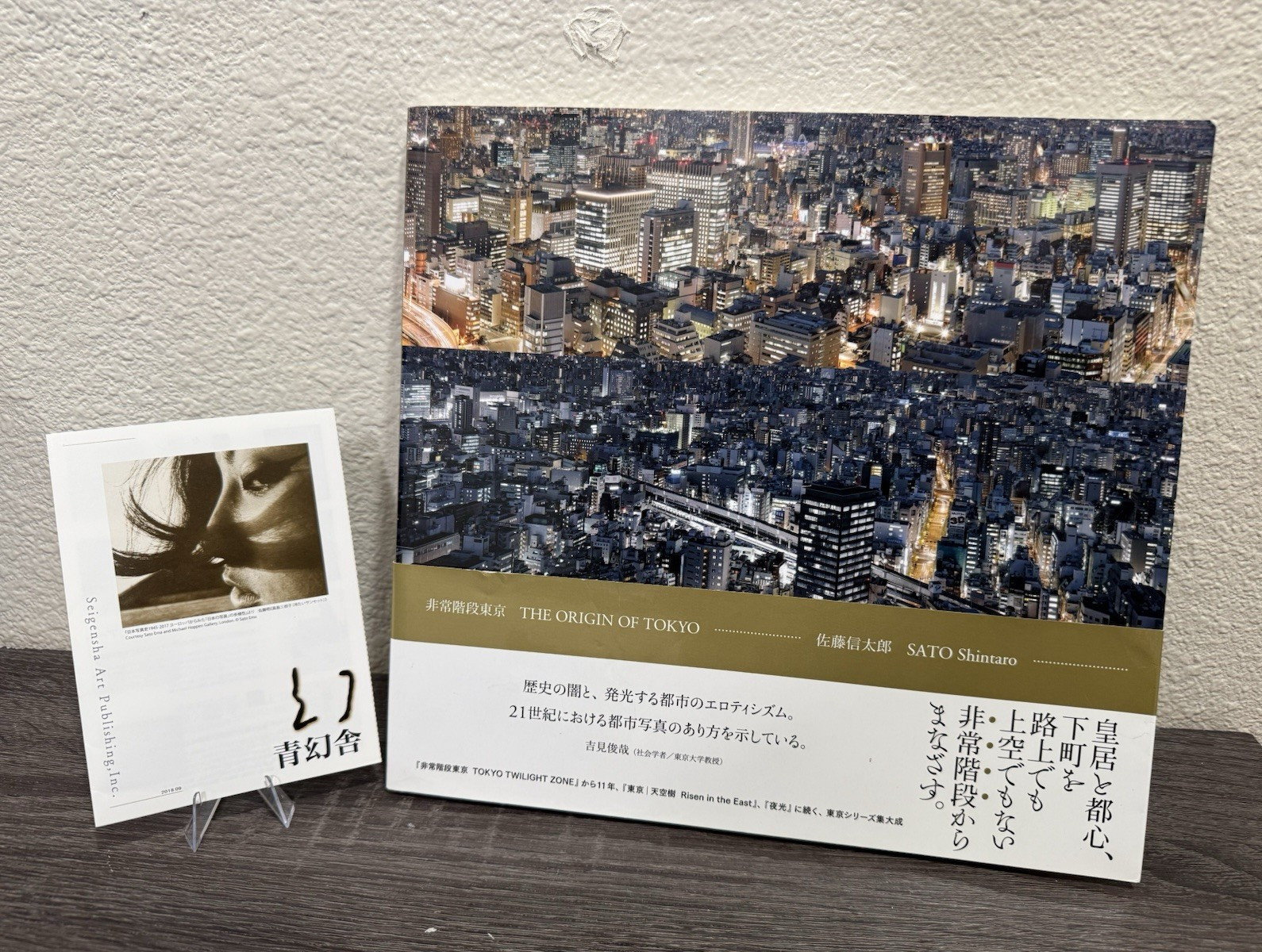 Sato Shintaro The Origin of Tokyo Japanese Photo Book Seigensha