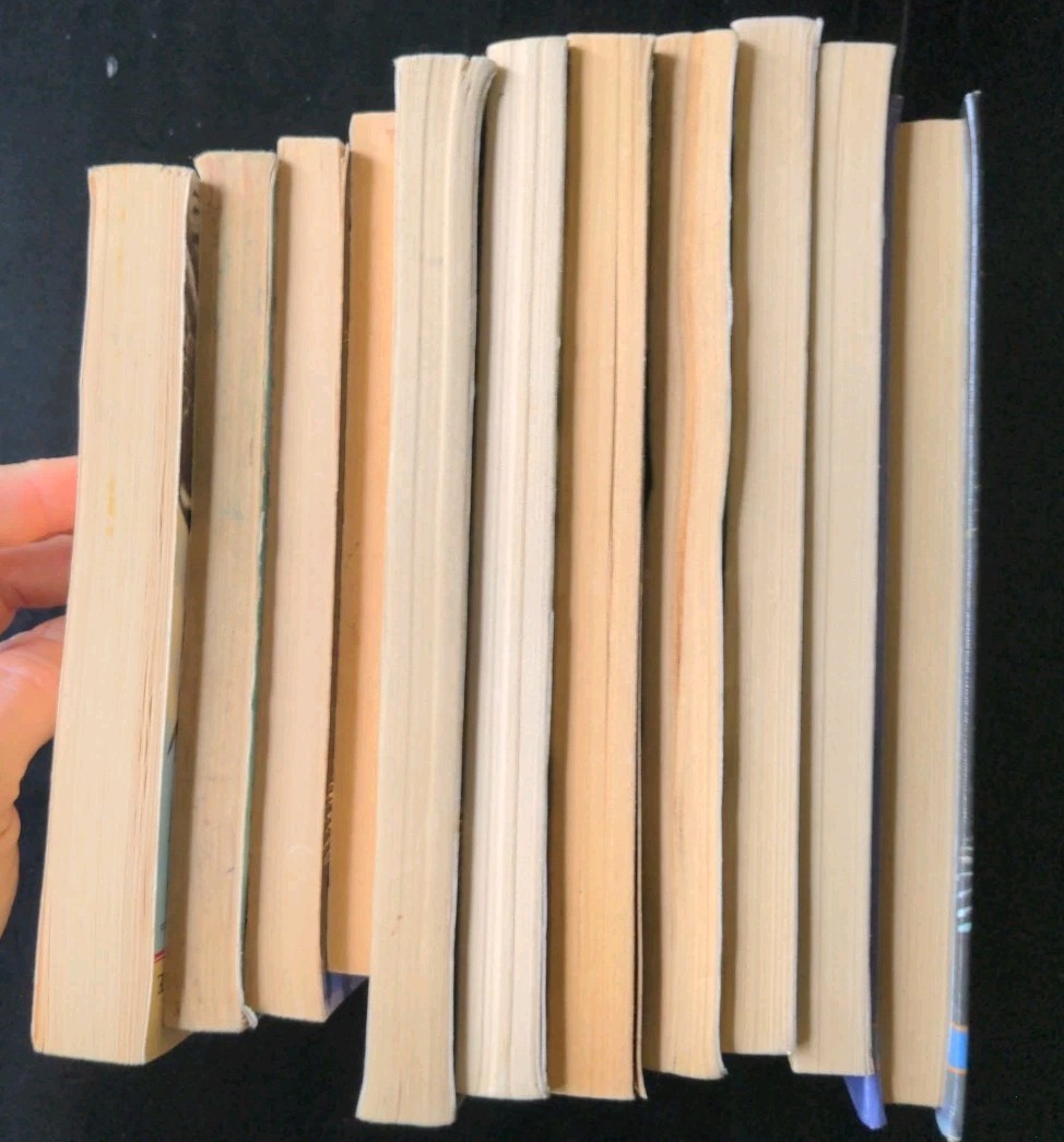 Lot of 10 My Side of the Mountain +1 by J C George Guided Reading Class Set Lot