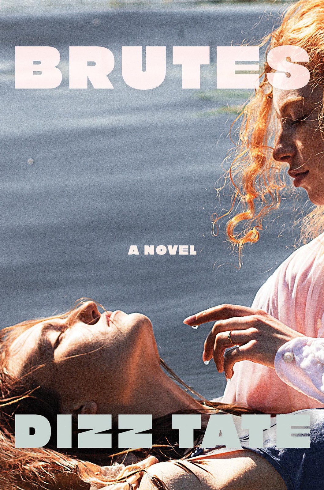 Brutes: A Novel – Tate, Dizz – Very Good – See condition notes