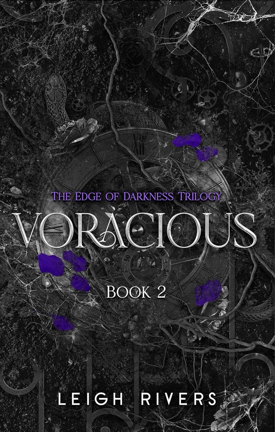 Voracious (Paperback) by Leigh Rivers