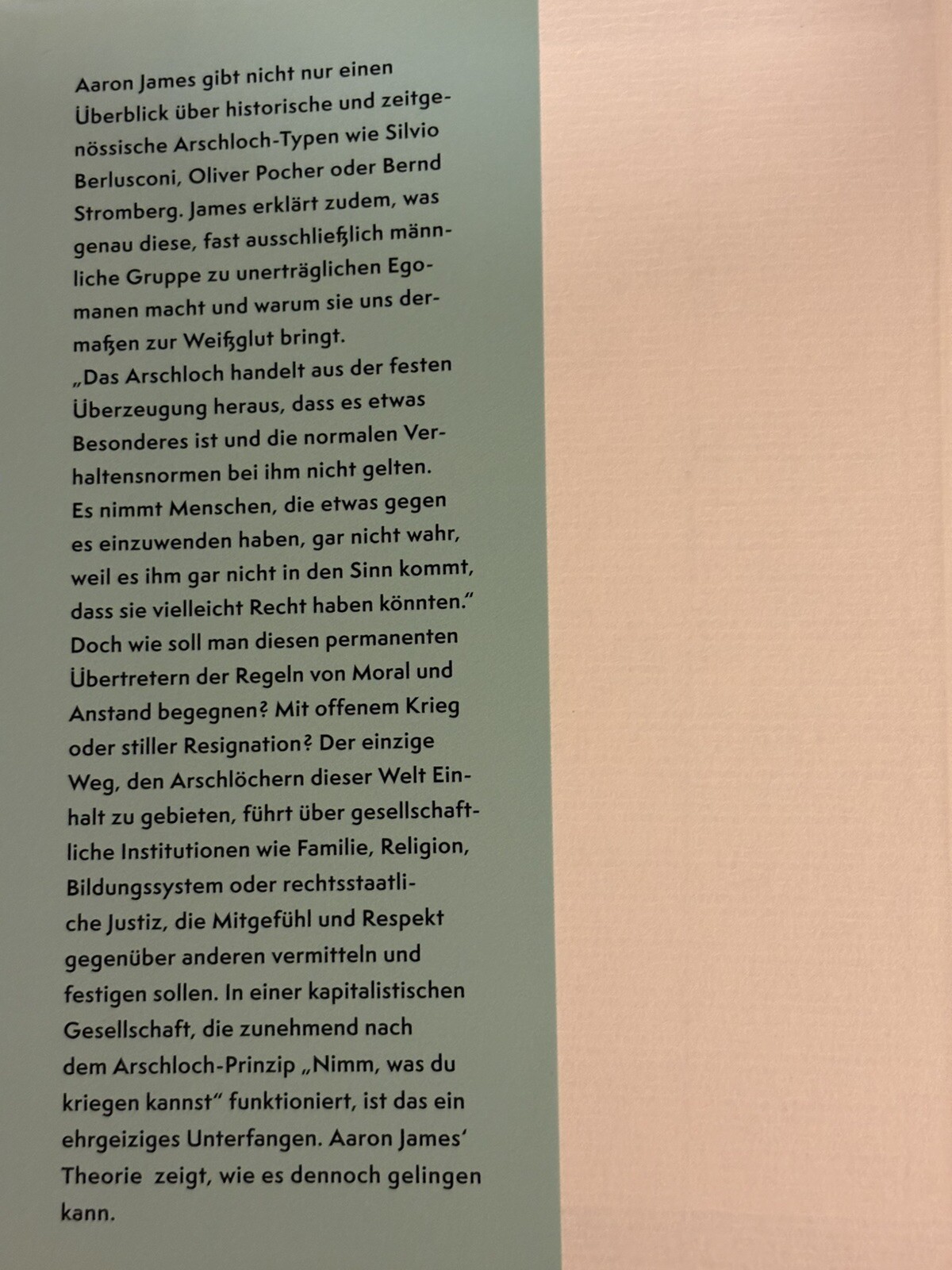 Arschlöcher – eine Theorie Gebundene Ausgabe