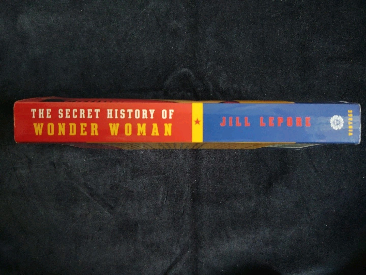 THE SECRET HISTORY OF WONDER WOMAN Softcover Book Jill Lepore Comics Feminism EX