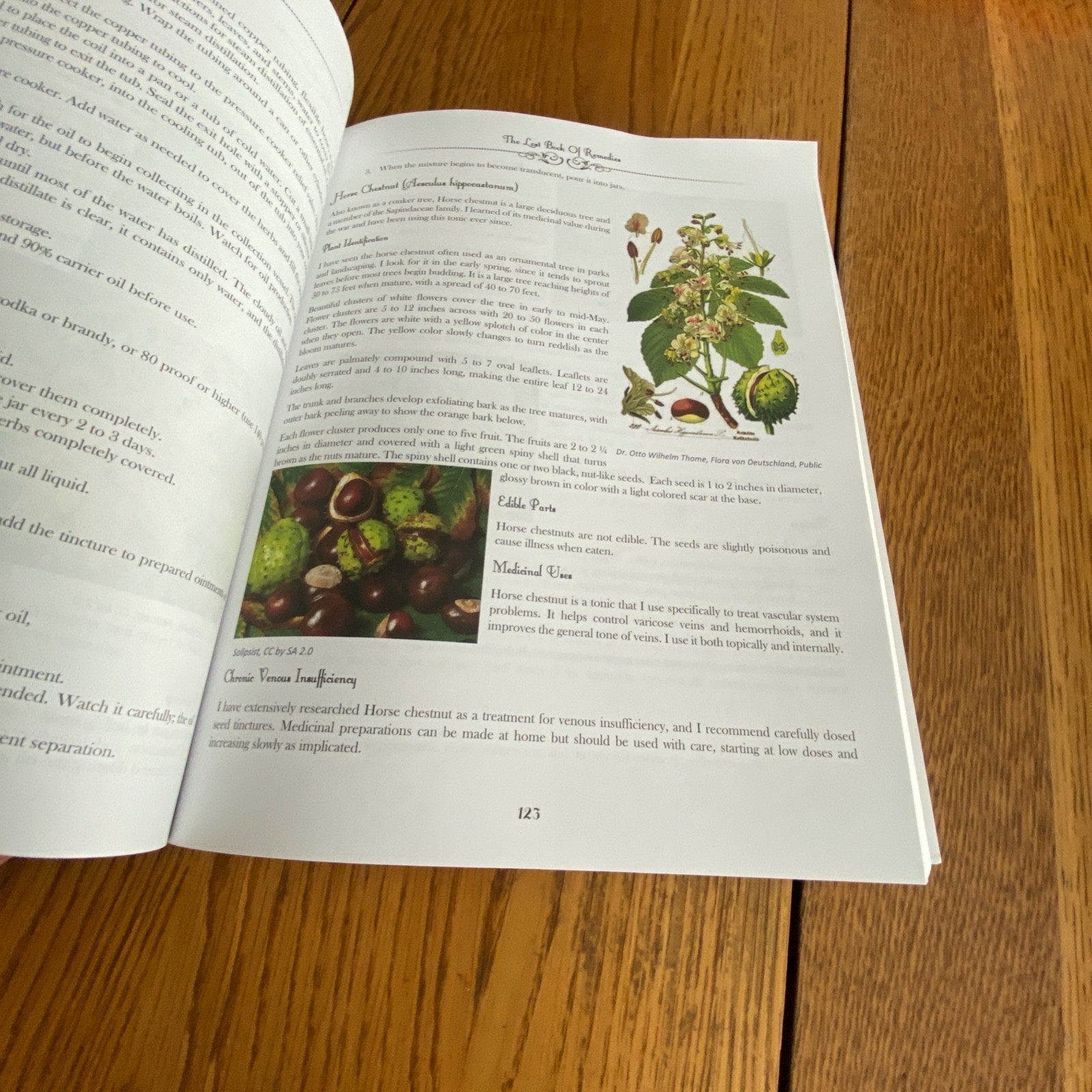 Holistic Guide to Wellness & Lost Book of Herbal Remedies Paperback