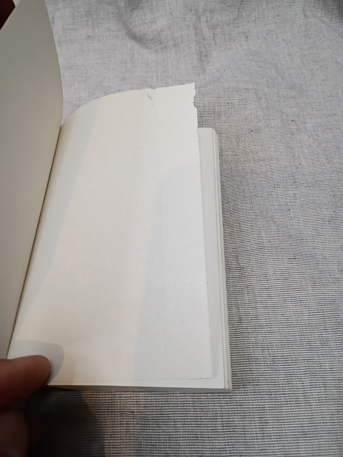 My Daily Bread A Summary of the Spiritual Life Prayer Anthony J. Paone 1954