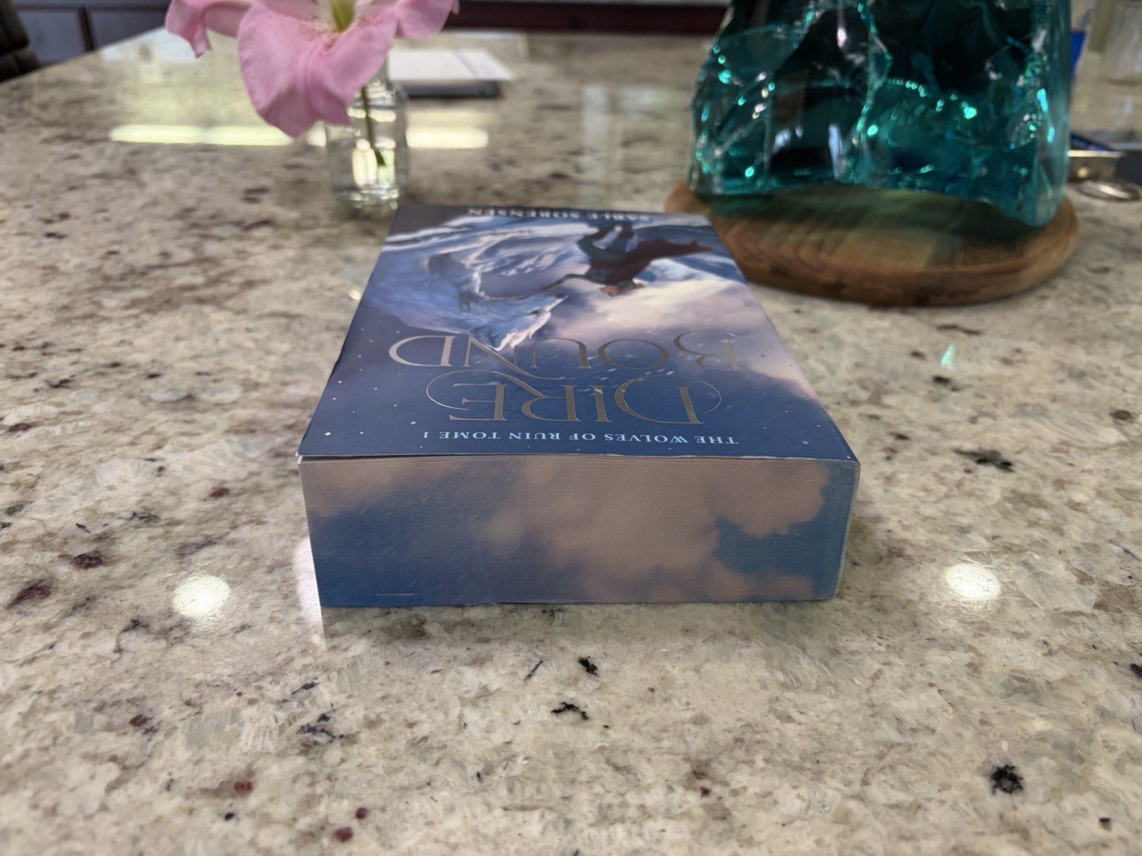 Dire Bound (Deluxe Limited Edition) by Sable Sorensen (2026, Paperback)