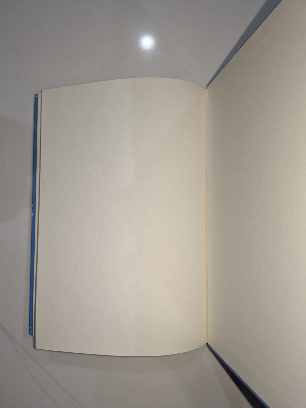 The Swansea Trial – Kreitzman & Howard | 1993 | Hardcover, VLCD, Medical Diet